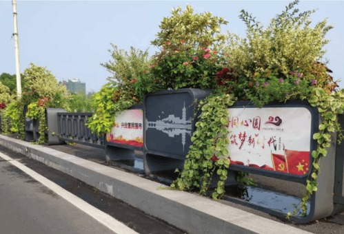 常青藤人行道隔離美化道路花箱